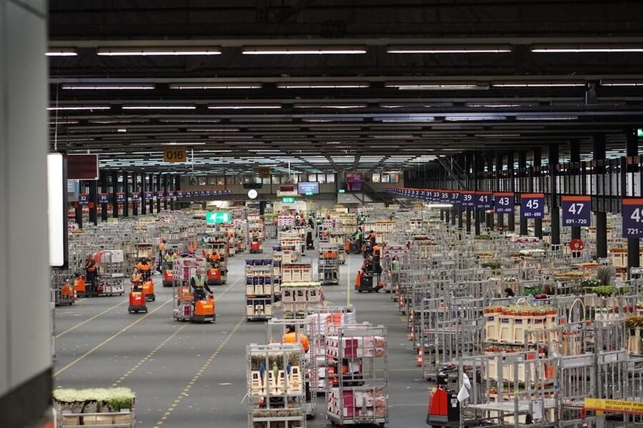 Aalsmeer: Flower Auction Royal Flora Holland Entry Ticket - Is the $14 ticket good value?