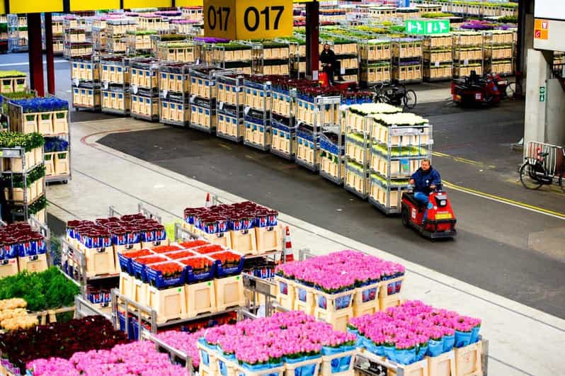Aalsmeer: Flower Auction Royal Flora Holland Entry Ticket - Following flowers from grower to market
