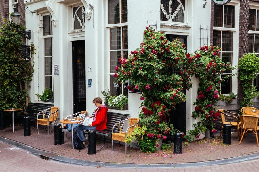 Amsterdam: 1.5-Hour Private Kick-Start Tour with a Local - Is $93 per person a fair price?