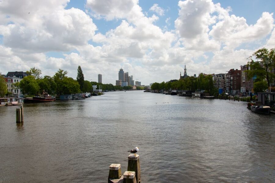 Amsterdam: 3 Course Dinner in the Dark - How the service works in darkness