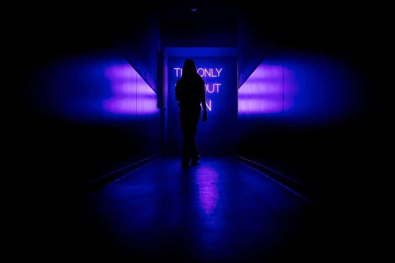 Amsterdam: AMAZE Immersive Audiovisual Experience Ticket - Should you book AMAZE in Amsterdam?