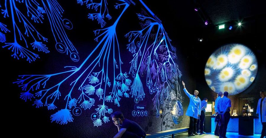Amsterdam: ARTIS-Micropia Microbe Museum Entry Ticket - The body scan and the microbes on you