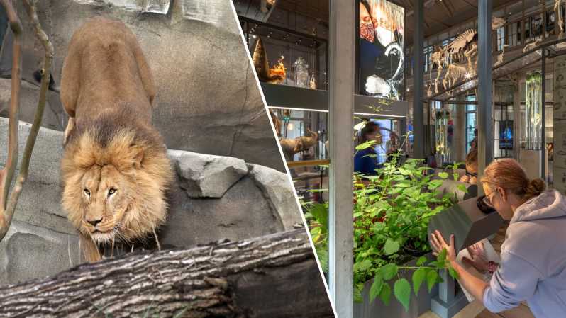 Amsterdam: ARTIS Royal Zoo and ARTIS Groote Museum Ticket - Why this ARTIS combination works