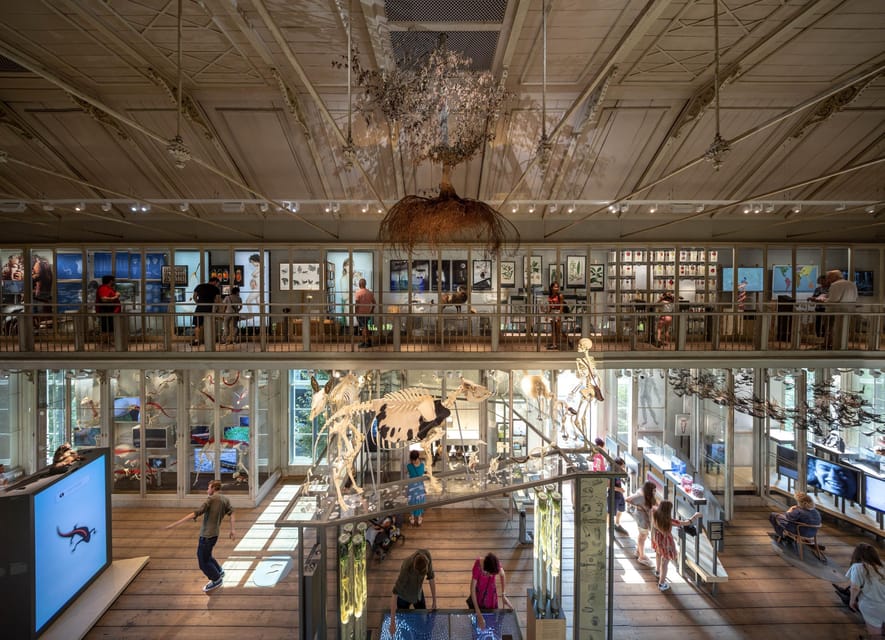 Amsterdam: ARTIS Royal Zoo and ARTIS Groote Museum Ticket - Who gets the best value