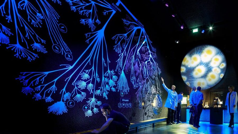 Amsterdam: Artis Royal Zoo & ARTIS-Micropia Combo Ticket - Who will get the most from the $55 ticket