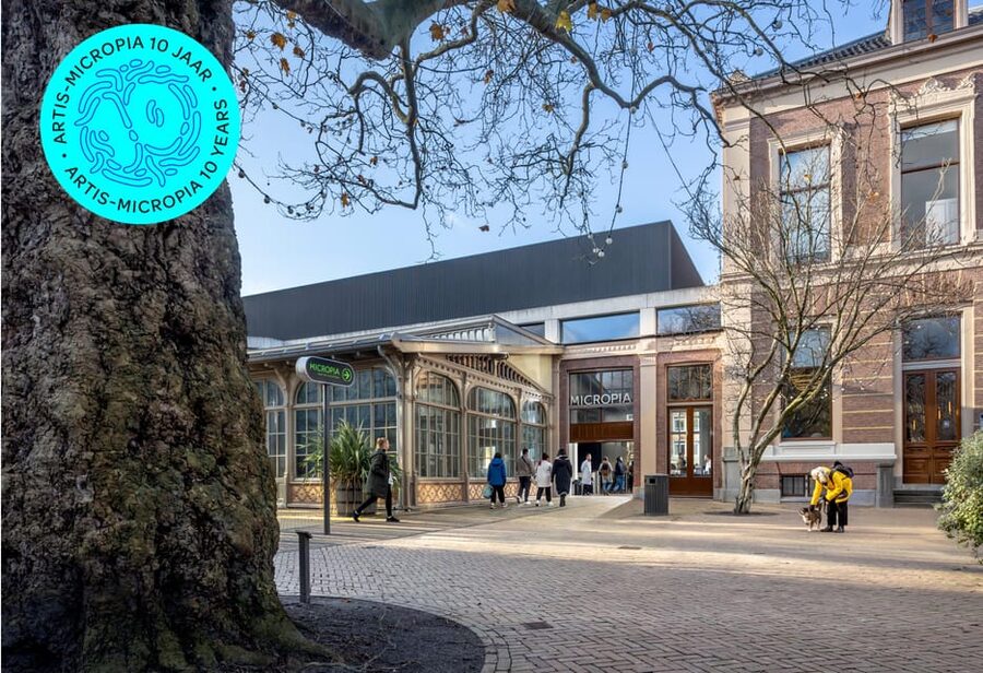 Amsterdam: Artis Royal Zoo & ARTIS-Micropia Combo Ticket - How to plan your one-day visit