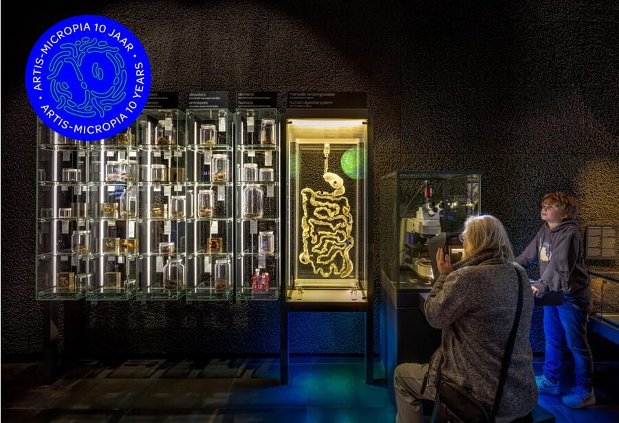 Amsterdam: Artis Royal Zoo & ARTIS-Micropia Combo Ticket - Getting there from Amsterdam’s center