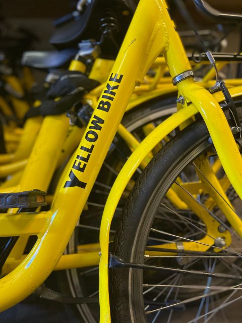 Amsterdam Bike Rental: Central Station & City Center - Family equipment and age limits