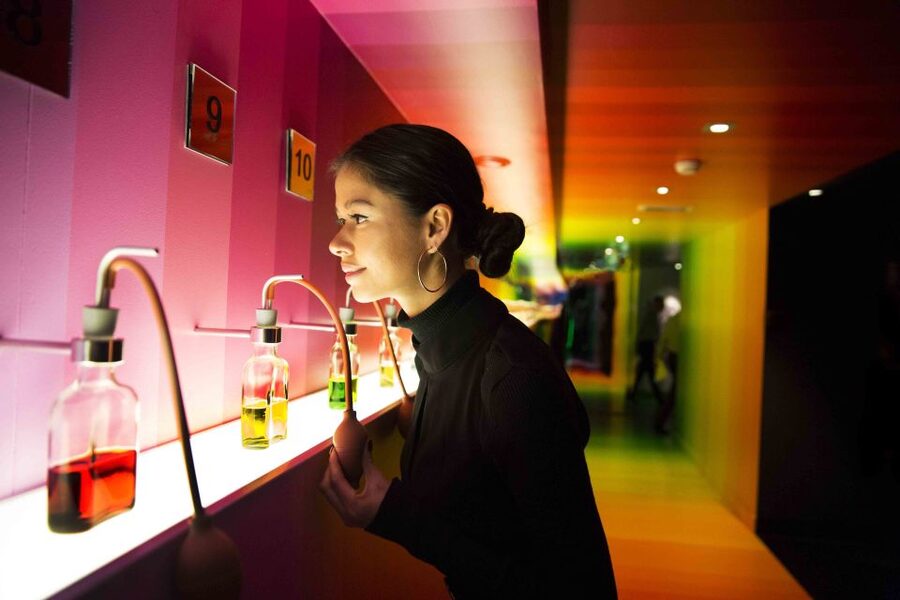 Amsterdam: Bols Cocktail Experience and Cocktail Workshop - Who will enjoy Bols most?
