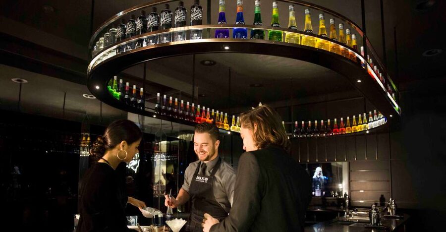 Amsterdam: Bols Cocktail Experience and Cocktail Workshop - What this experience gets right, and where it falls short