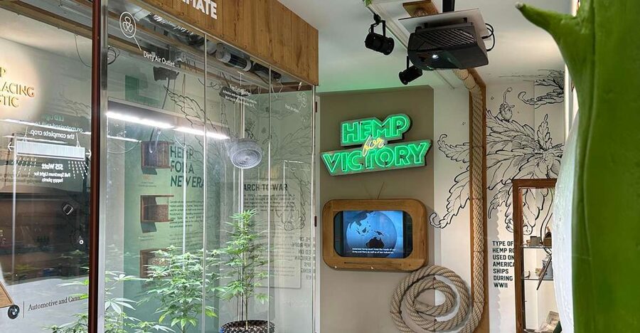 Amsterdam: Cannabis Museum Entry Ticket - Three floors that tell more than a coffee shop story