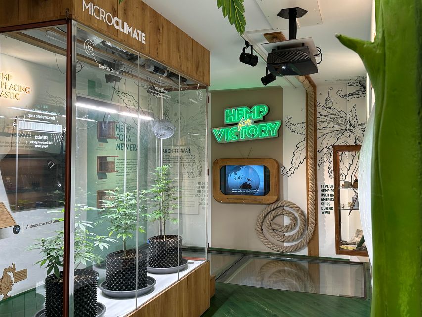 Amsterdam: Cannabis Museum Entry Ticket - Live plants, microscopes, and a cannabis testing machine