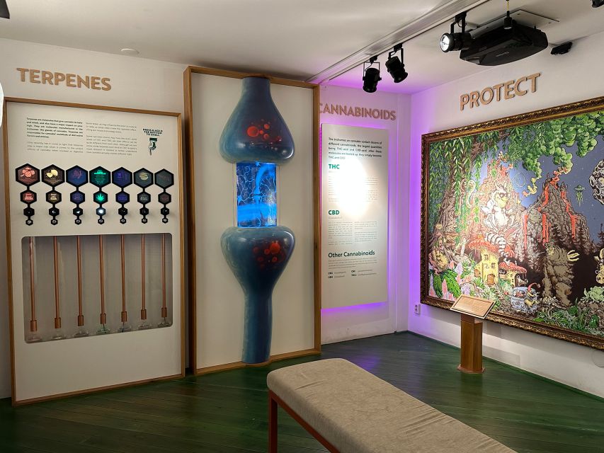 Amsterdam: Cannabis Museum Entry Ticket - The top floor has the most unusual finish