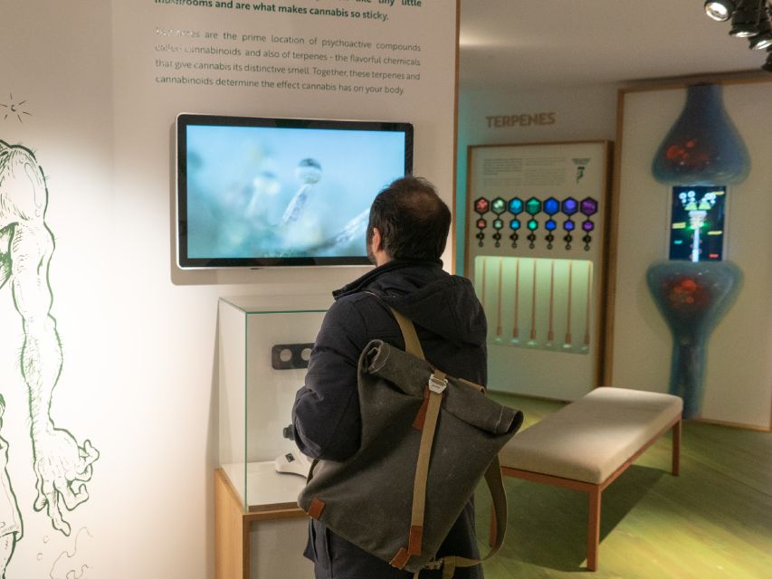 Amsterdam: Cannabis Museum Entry Ticket - From hemp clothing to medicine