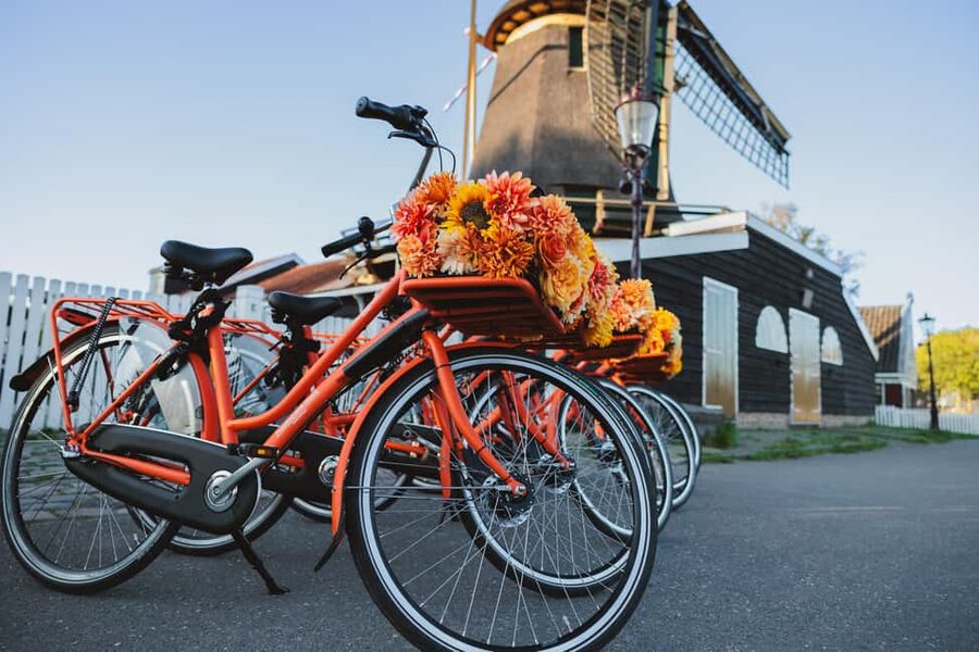 Amsterdam: Cheese, Windmill & Countryside Bike Tour - The farm stop brings the Dutch countryside close