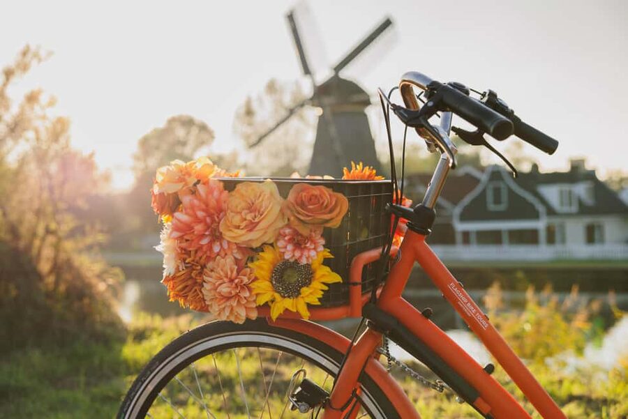 Amsterdam: Cheese, Windmill & Countryside Bike Tour - Windmills, canals, and polder paths