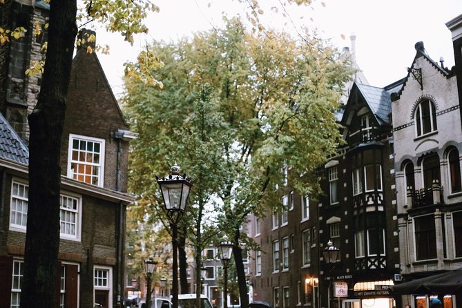 Amsterdam City Center Guided Walking Tour Semi-Private 12ppl Max - Practical details that affect your day