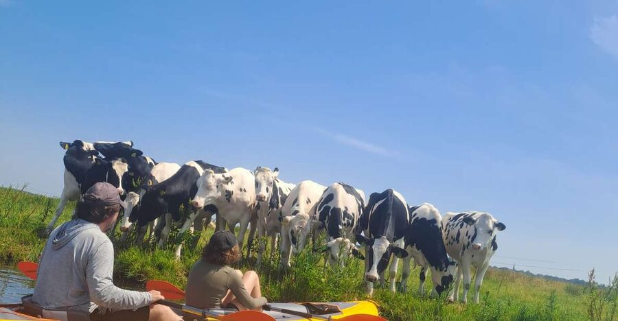 Amsterdam: Countryside Bike and Kayak Guided Tour - Why this tour gets you beyond central Amsterdam