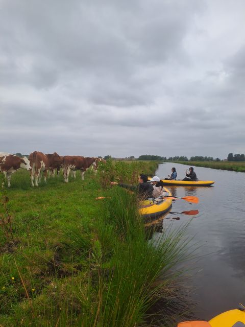 Amsterdam: Countryside Bike and Kayak Guided Tour - d’Admiraal Windmill and the story behind the scenery