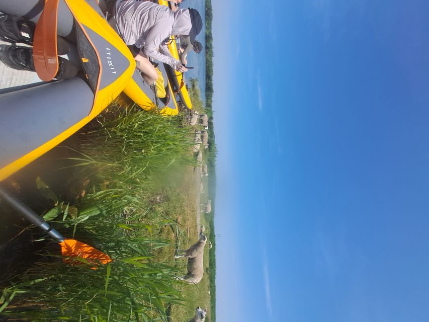 Amsterdam: Countryside Bike and Kayak Guided Tour - Kayaking through Broek in Waterland