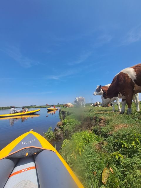 Amsterdam: Countryside Bike and Kayak Guided Tour - What $84 includes, and where the value lies