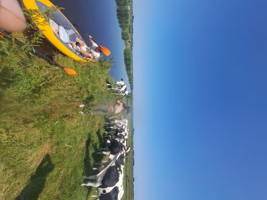 Amsterdam: Countryside Bike and Kayak Guided Tour - How difficult is the day?