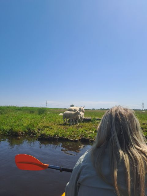 Amsterdam: Countryside Bike and Kayak Guided Tour - Starting at A’DAM Lookout and cycling north