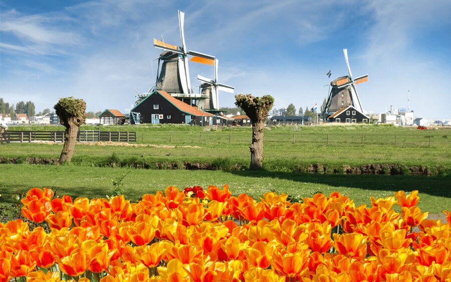 Amsterdam: Day Tour Keukenhof and Zaanse Schans Windmills - A practical day from Amsterdam to the Dutch countryside