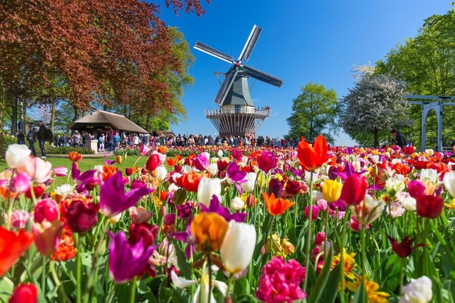 Amsterdam: Day Tour Keukenhof and Zaanse Schans Windmills - The coach ride to Keukenhof