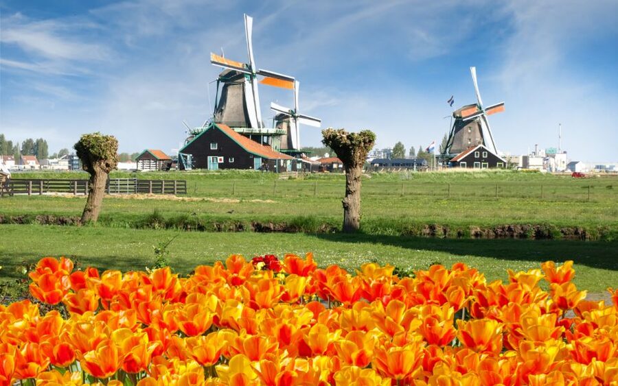 Amsterdam: Day Tour Keukenhof and Zaanse Schans Windmills - What the $72 price really buys you