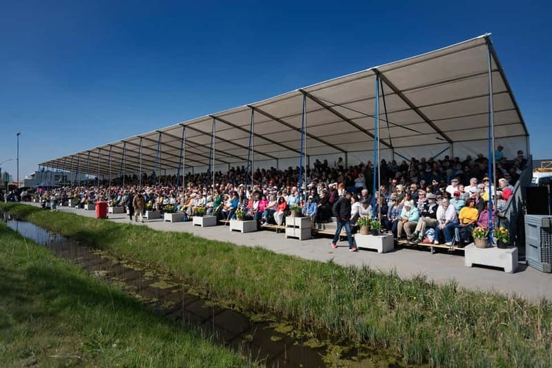 Amsterdam: Day Trip to Flower Parade & Keukenhof on April 18 - Why the Flower Parade is the day’s big event