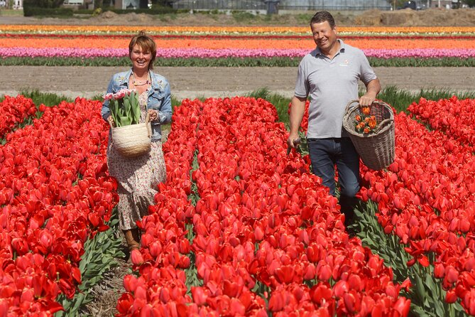 Amsterdam: Day trip to Tulip Farm, Keukenhof + Windmill Cruise - Finding This Is Holland Behind Amsterdam Central Station