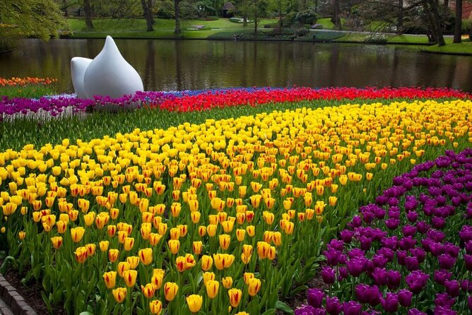 Amsterdam: Day trip to Tulip Farm, Keukenhof + Windmill Cruise - The Departure Problem and How to Avoid It