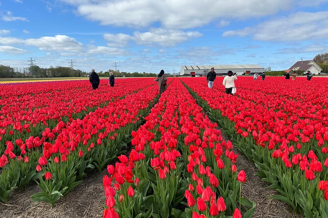 Amsterdam: Day trip to Tulip Farm, Keukenhof + Windmill Cruise - The Kagerplassen Windmill Cruise