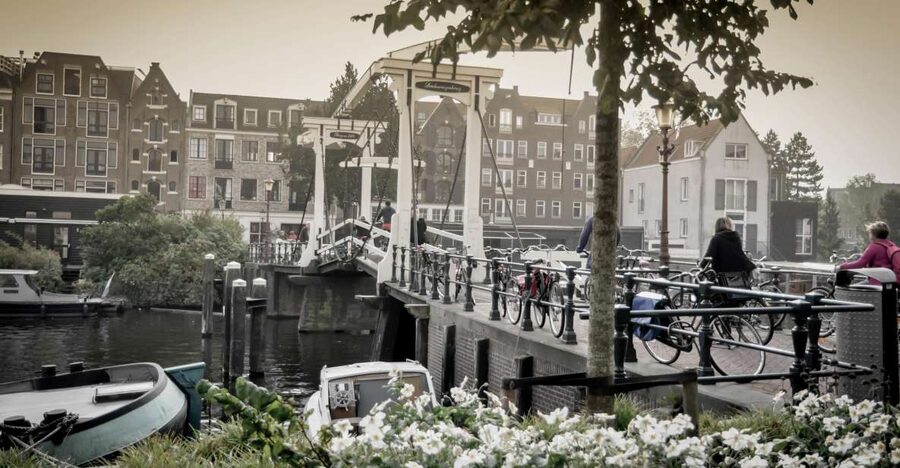 Amsterdam: Guided City Bike Tour in French - Amsterdam by bike, with the city spread out before you