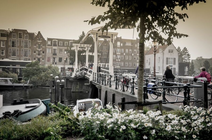 Amsterdam: Guided City Bike Tour in French - Westerdok and the Western Islands: an atmospheric opening