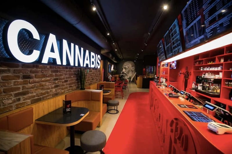 Amsterdam: Guided Ganja Walking Tour of Coffee Shops - What this Amsterdam coffeeshop tour really offers