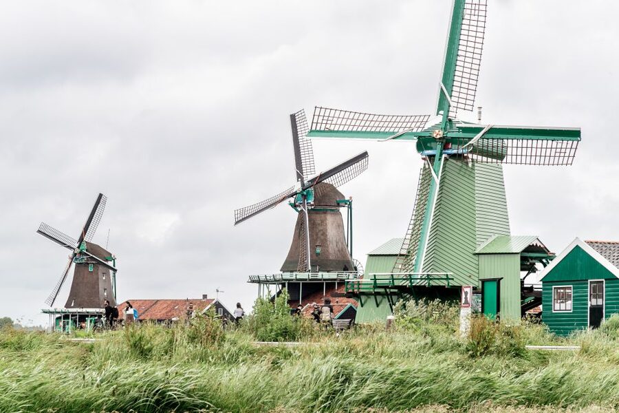 Amsterdam: Guided Zaanse Schans, Windmills & Cheese Tour - Who will enjoy this outing most
