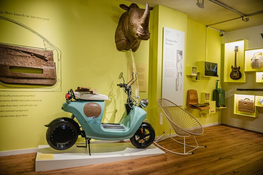 Amsterdam: Hash, Marihuana, and Hemp Museum Entry Ticket - Who should book this museum visit