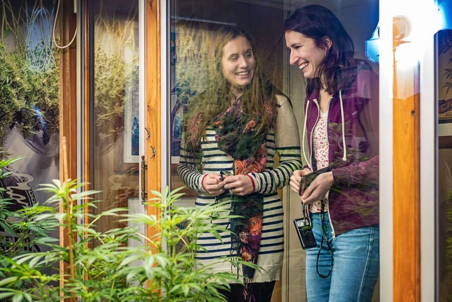 Amsterdam: Hash, Marihuana, and Hemp Museum Entry Ticket - The 9,000-object collection and the story of cannabis