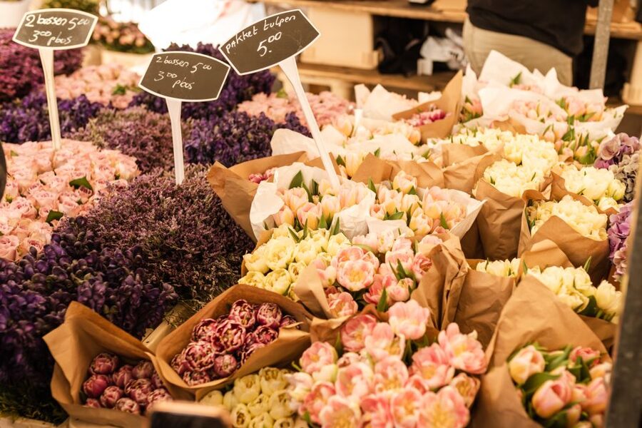 Amsterdam: Highlights & Hidden Gems Private Walking Tour - How much time should you book?