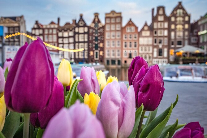 Amsterdam Highlights Walking Tour - Key points to know before booking