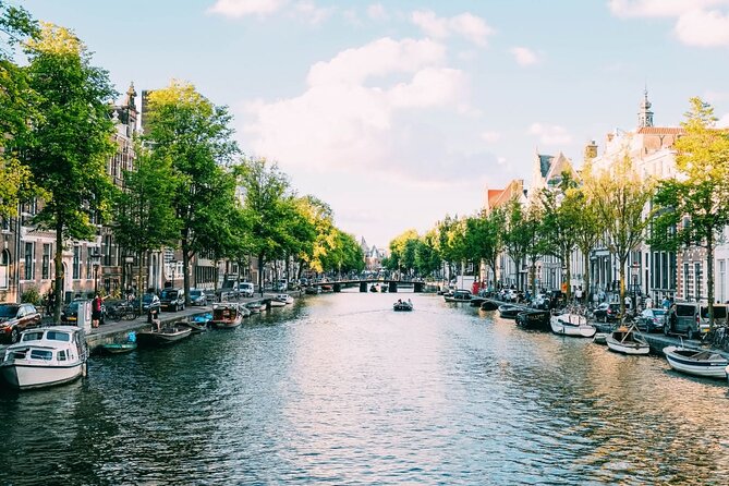 Amsterdam Highlights Walking Tour - Why this two-hour walk works well in Amsterdam