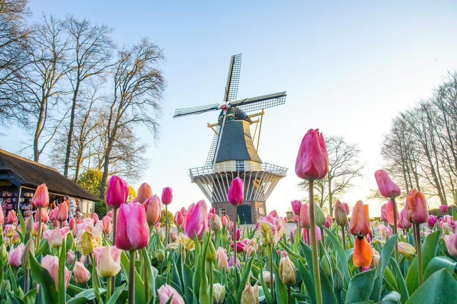 Amsterdam: Keukenhof and Zaanse Schans Live Guided Day Tour - The day in five useful points