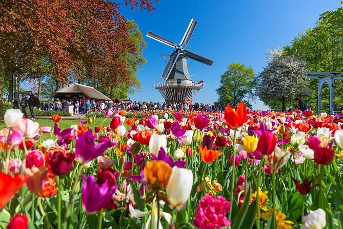 Amsterdam: Keukenhof Entry & Shuttle Bus with Flexible Return - Why this shuttle is a smart way to reach Keukenhof