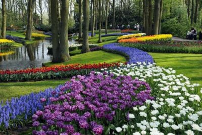 Keukenhof Entry & Shuttle Bus with Flexible Return