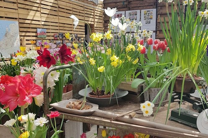 Amsterdam : Keukenhof FlowerFarm Privatetour Skip-The-Line ticket - The more personal stop at De Tulperij