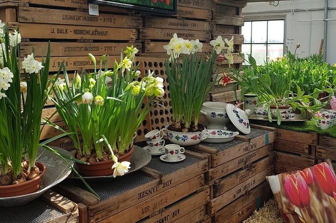Amsterdam : Keukenhof FlowerFarm Privatetour Skip-The-Line ticket - Optional Noordwijk Beach and a North Sea lunch