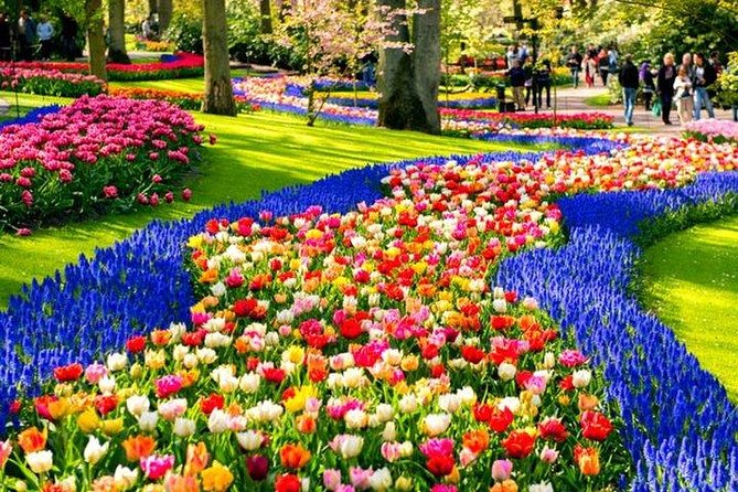 Amsterdam : Keukenhof FlowerFarm Privatetour Skip-The-Line ticket - Is $463.74 per person a fair price?
