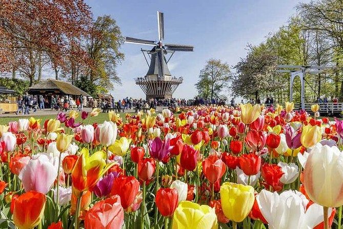 Amsterdam : Keukenhof FlowerFarm Privatetour Skip-The-Line ticket - Reaching Keukenhof before the crowds